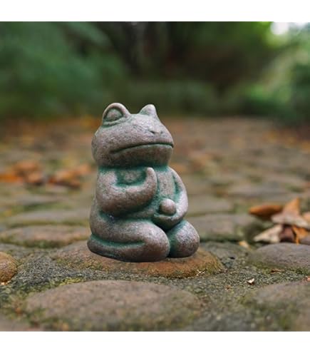 Amazon.co.jp: 東北産 梅花石 6.7キロ 鑑賞石 石 置物 オブジェ